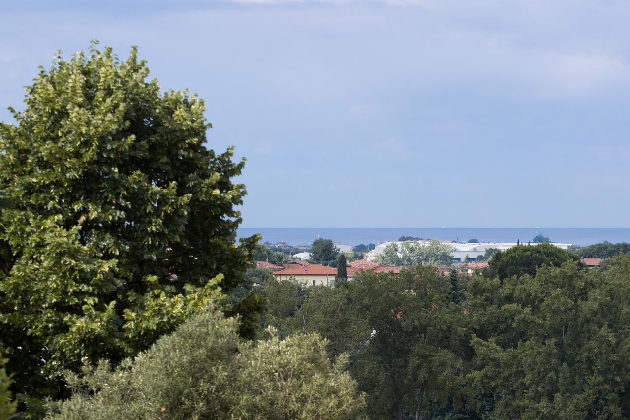 Abbaino Bed and Breakfast Μάσσα Εξωτερικό φωτογραφία